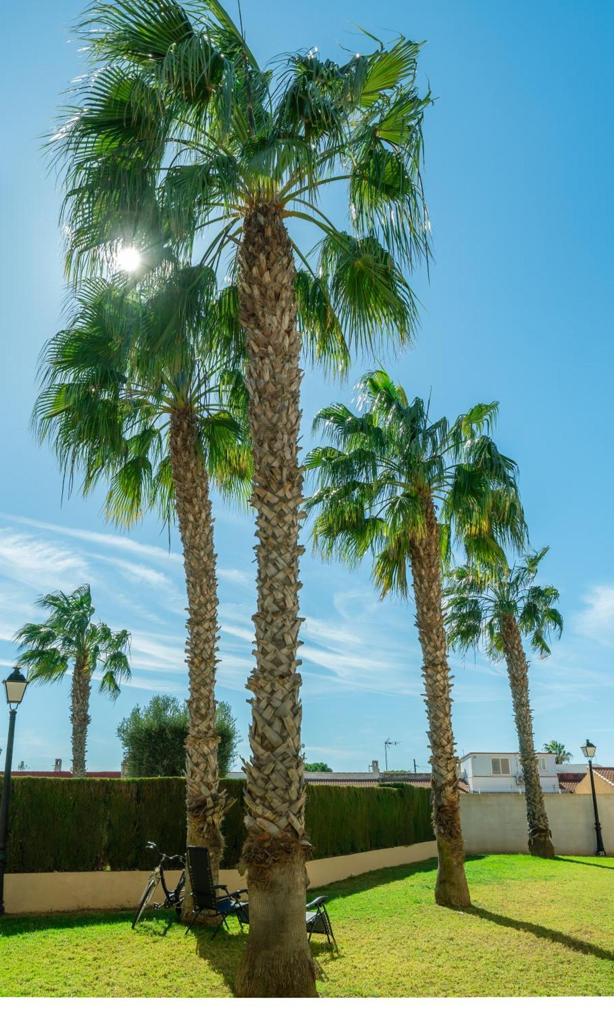 Club Salino Hideaway-Your Peaceful Retreat With Pool In Torrevieja Kültér fotó